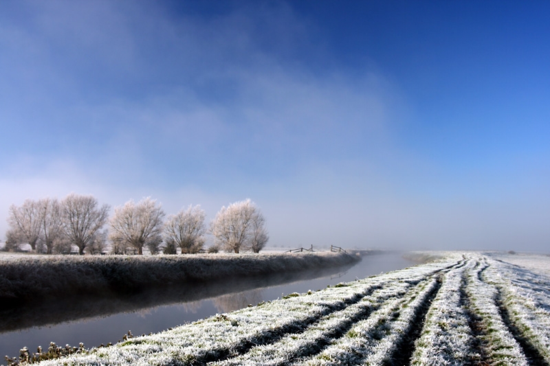 37585_090117p.jpg - Somerset Levels