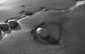 39261_120702_bw